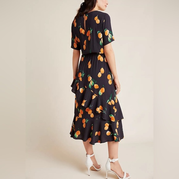 EUC Anthropologie | Just Orchard Ruffled Dress - Picture 2 of 7